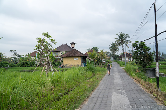 Campuhan - Ubud - Bali