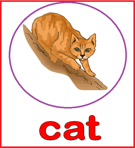 уровни cambridge english. карточки на английском. кетов на английском. карточки с английскими словами cat. Bat карточка.