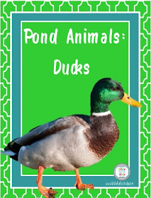 http://www.biblefunforkids.com/2018/07/god-makes-pond-animals-ducks.html