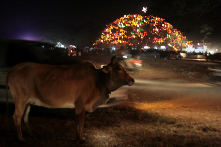 Christmas tree Fort Kochi style