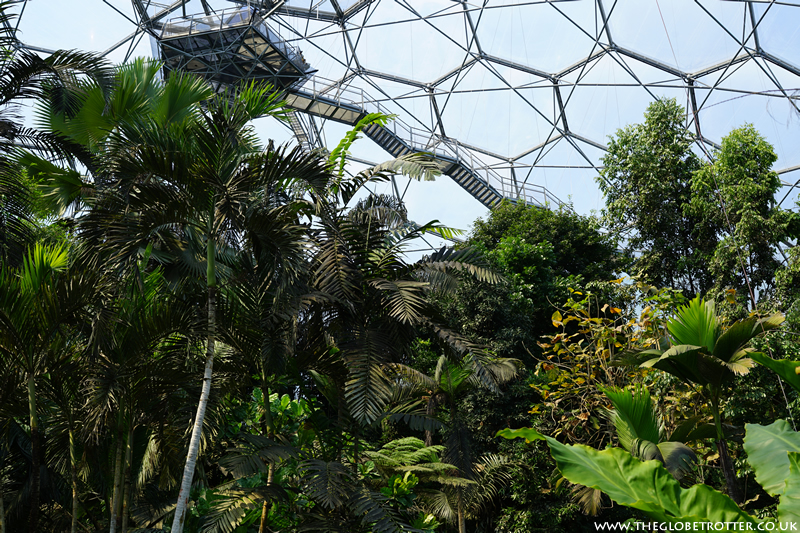 Rainforest Biome Eden Project