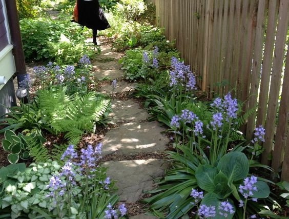 G 4 Gardening: Oak-Shaded Landscape Gardening
