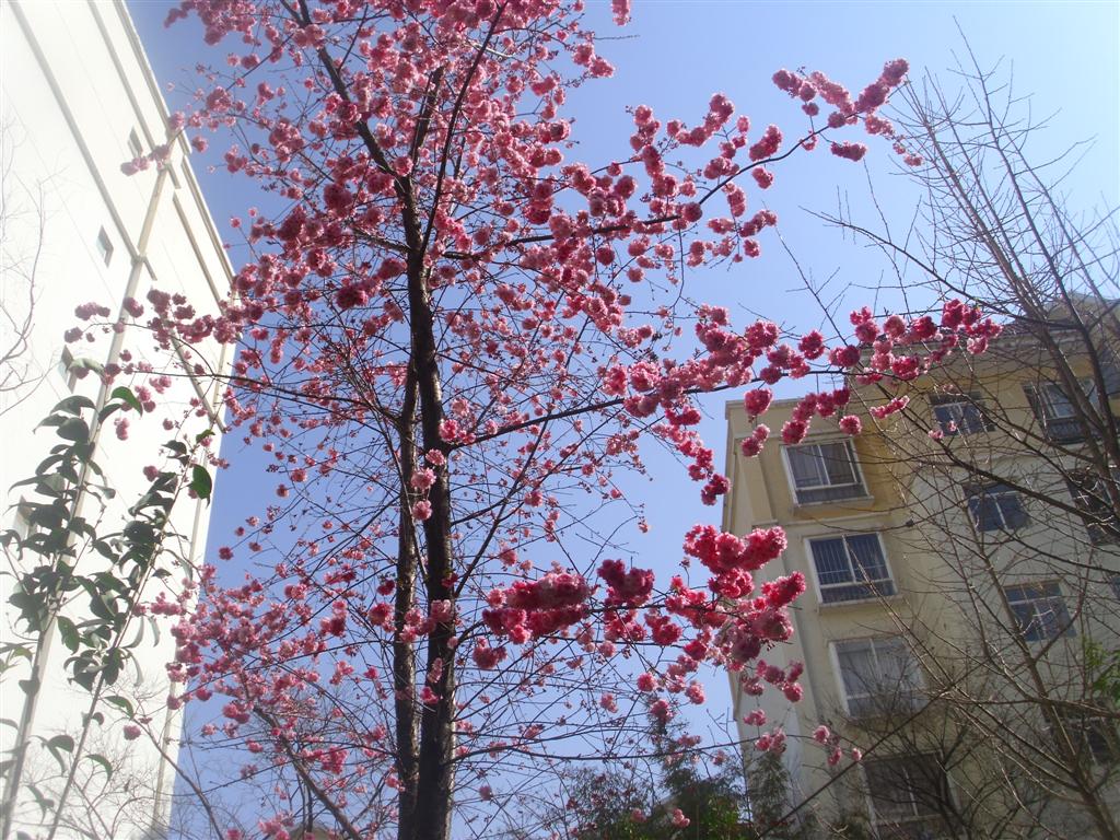 the-do-it-yourself-mom-february-2012