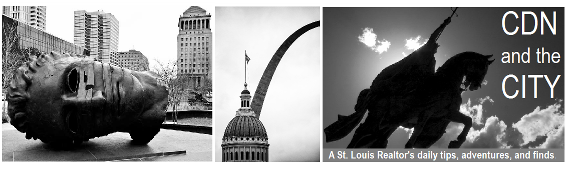 A St. Louis Realtor's Adventures, Tips, and Finds