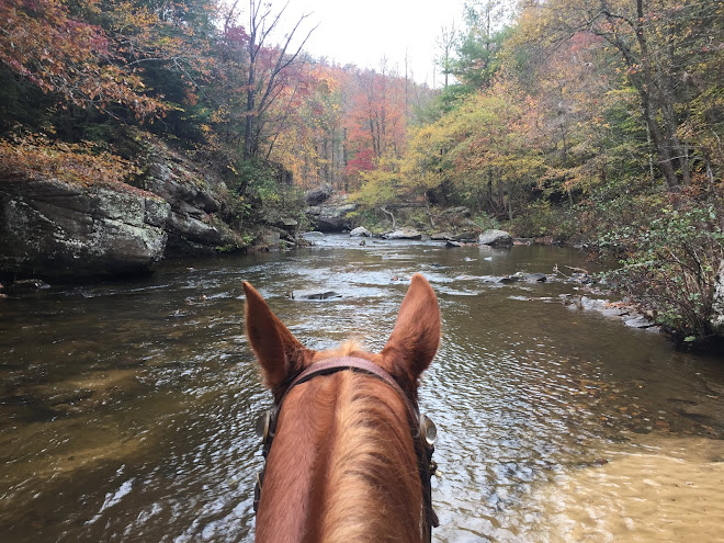 Foxtrotting Trail Riders Of Tennessee