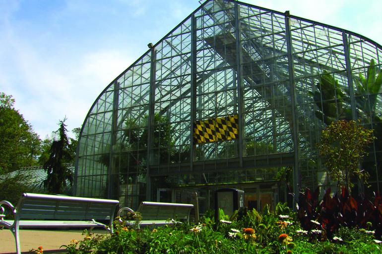 Cincinnati Vacation Ideas Family Fun Adventures of Kids Creative Chaos