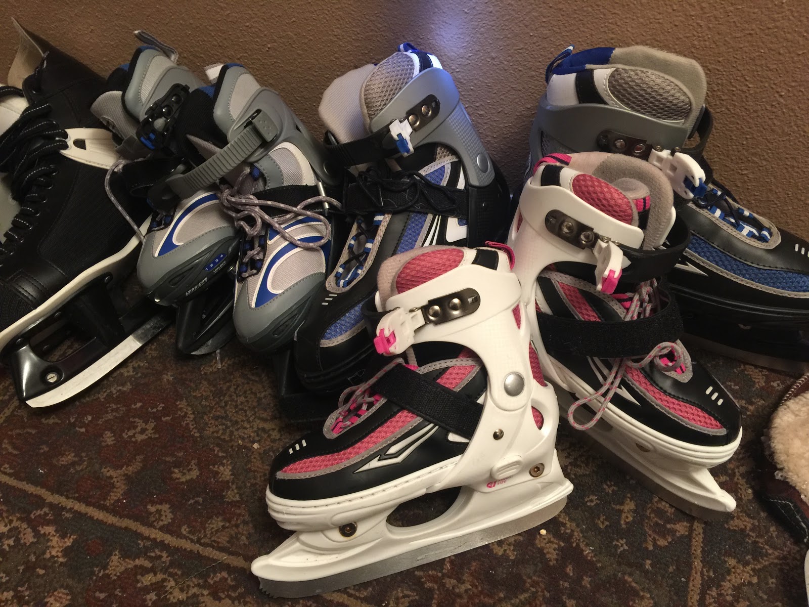 Ice Skating on the Lake cost some used skates