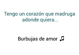 Juan Luis Guerra Burbujas De Amor significado de la canción.