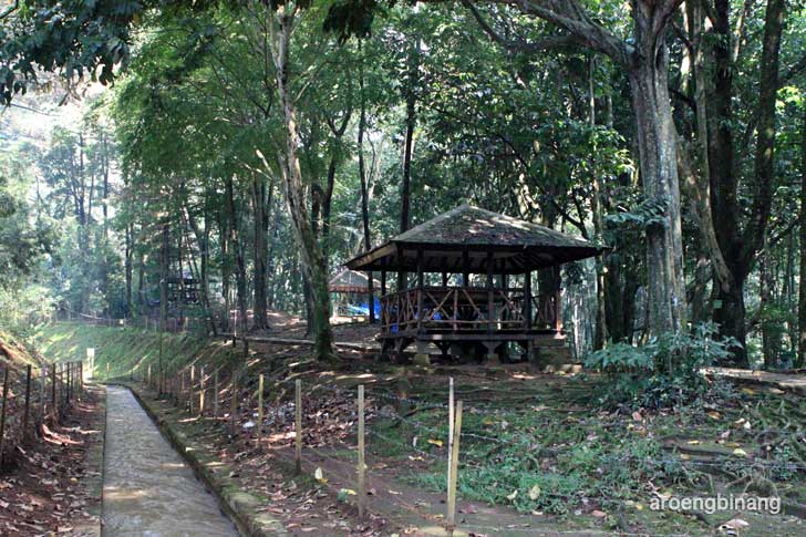 taman hutan raya ir. h. juanda bandung