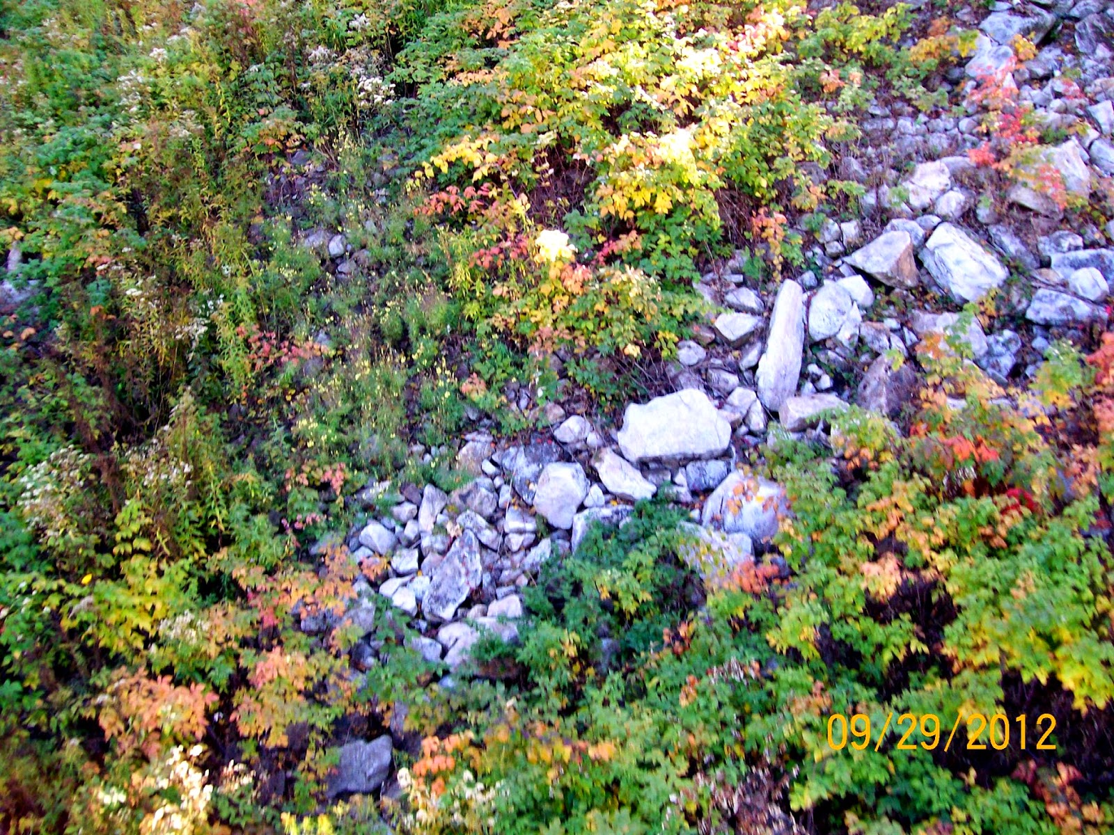 Rockhounding Around Rib Mountain, Wasau Wisconsin