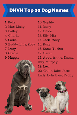 dog names pet list natural health