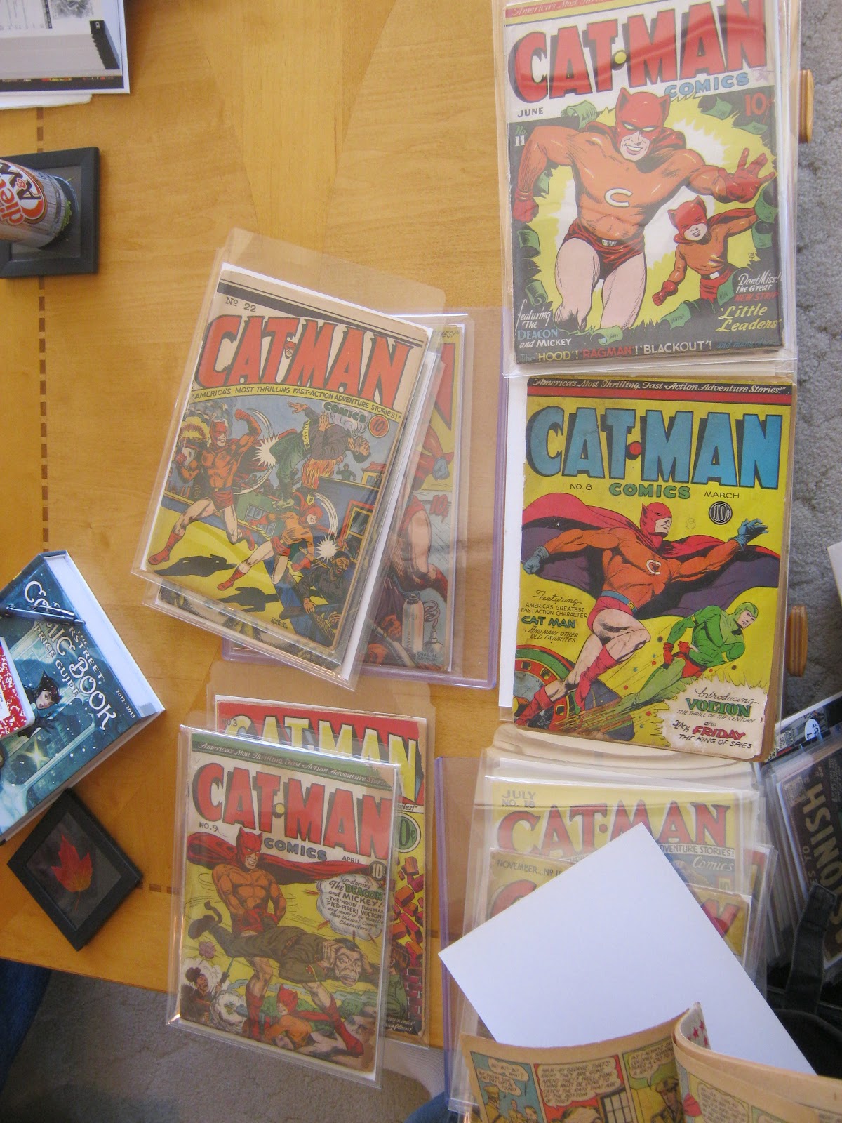 Fun Ideas Comic Book Consortium Photos