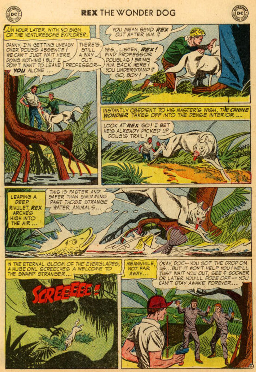 Read online The Adventures of Rex the Wonder Dog comic -  Issue #18 - 30