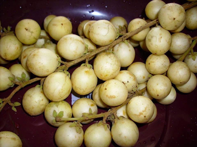 Buah  Rambai Kalimantan