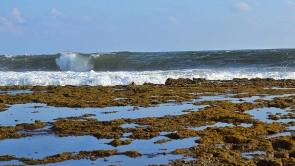 tempat wisata sukabumi pantai minajaya tempat wisata sukabumi pantai minajaya