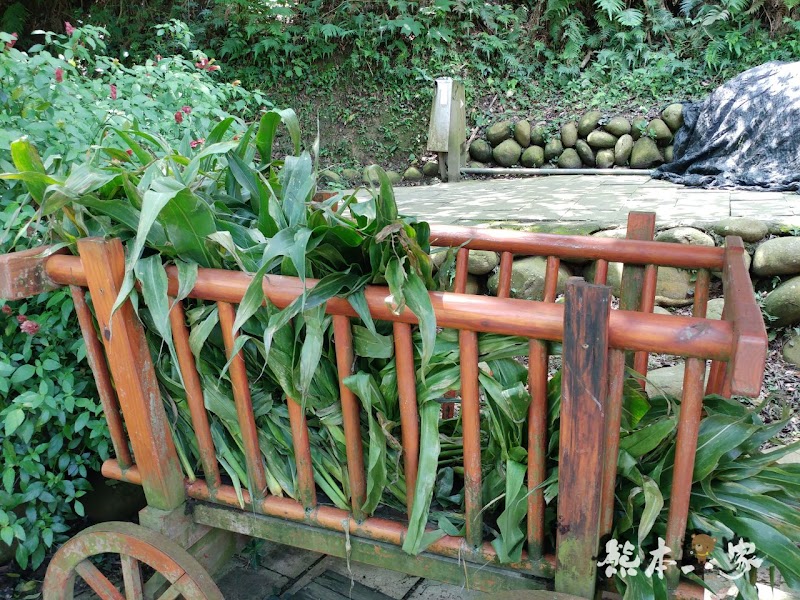 媲美清境青青草原|苗栗飛牛牧場|乳牛綿羊生態區~擠牛奶餵小羊小牛體驗