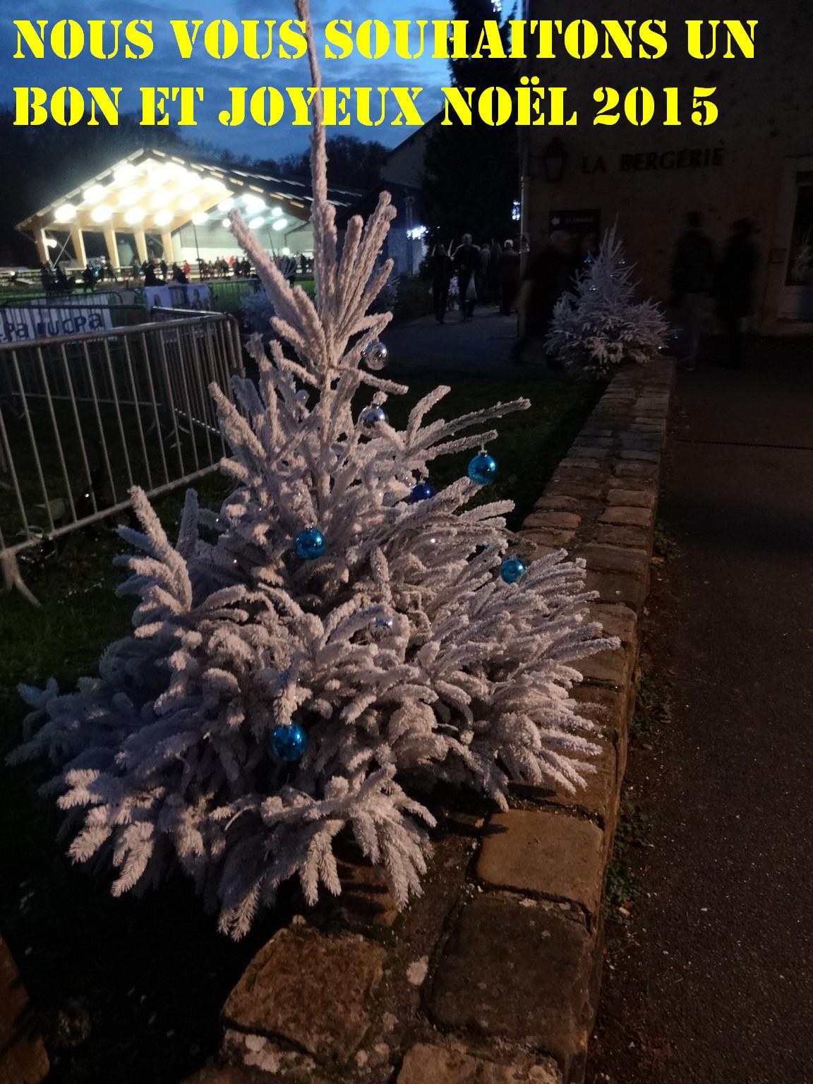 Comité de Jumelage d'ELANCOURT: Joyeux Noël 2015 et bonnes Fêtes de fin