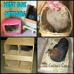 chicken chick coop boxes nest laying chickens buckets hens roost egg essentials nesting designs gallon creative plans access diy containers
