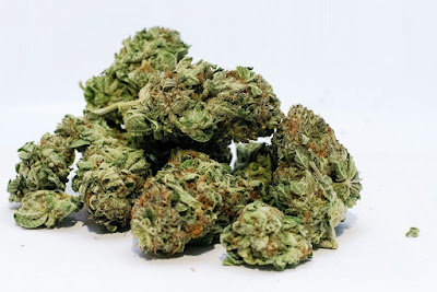 In Uruguay si venderà cannabis in farmacie a 1,20 euro a grammo