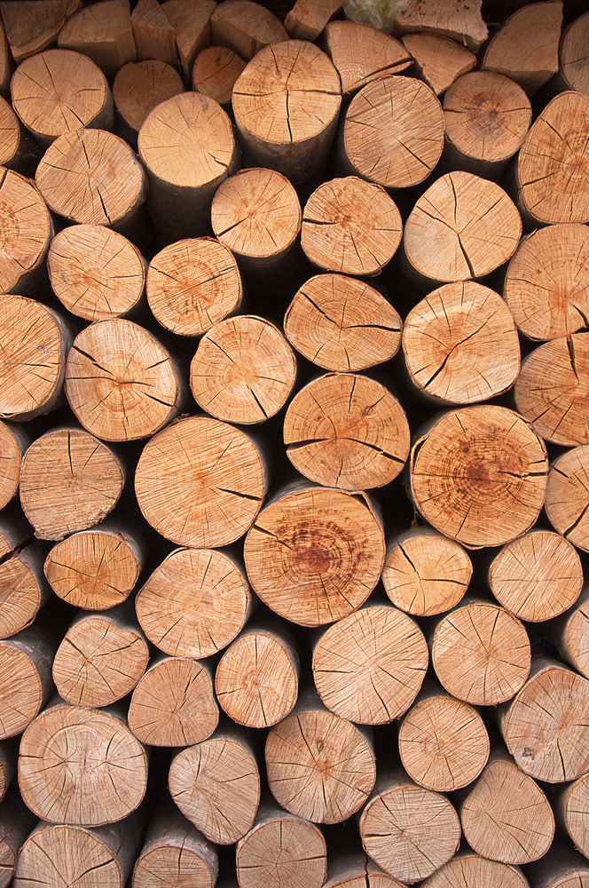 wood gasification boiler plans