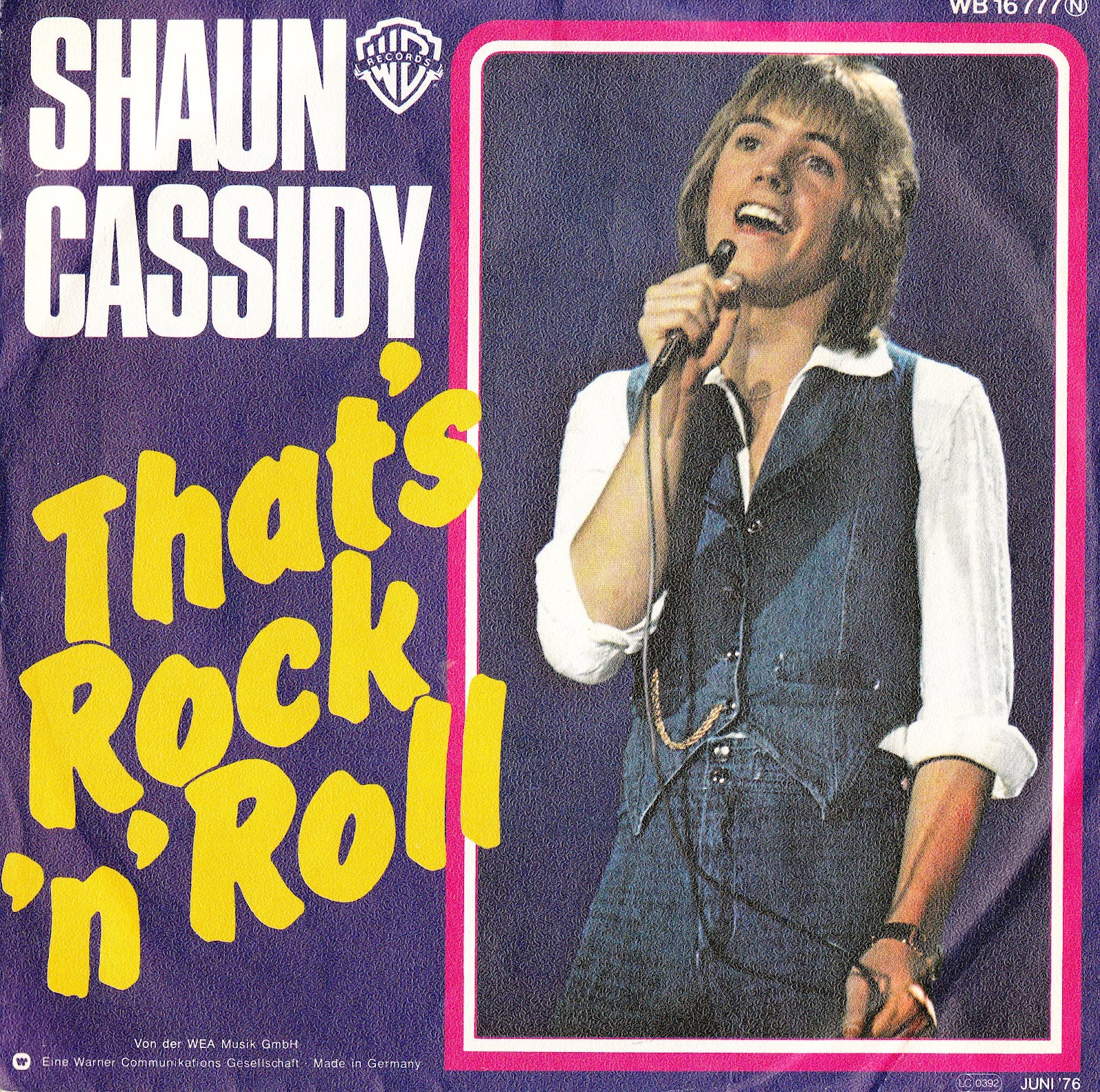 '70s Teenpop Shaun Cassidyon Record.