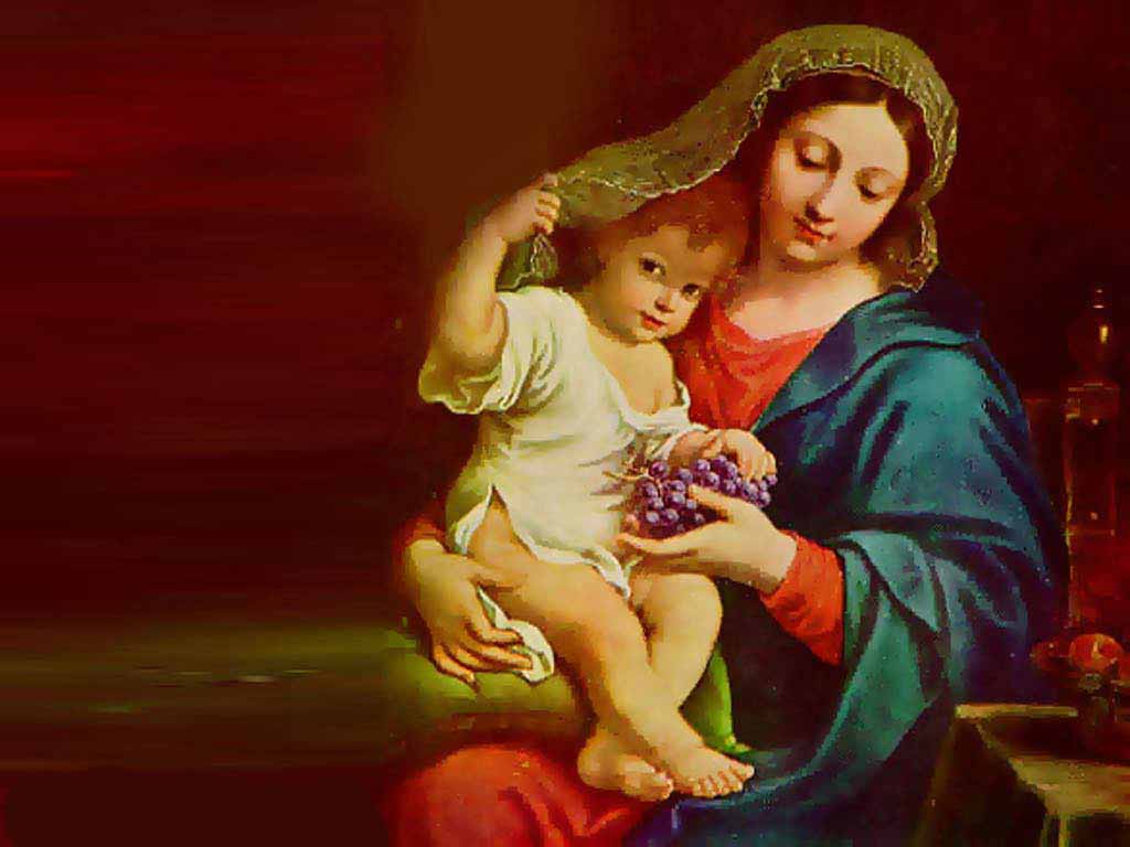 Multimedia Internet Free 720p Wallpapers Wallpaper Virgin Mary