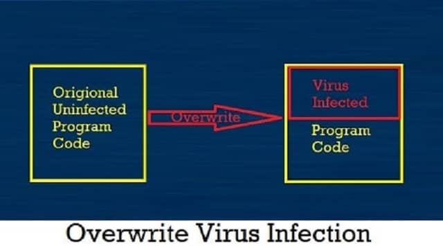 ओवरराईट वायरस (Overwrite Virus)