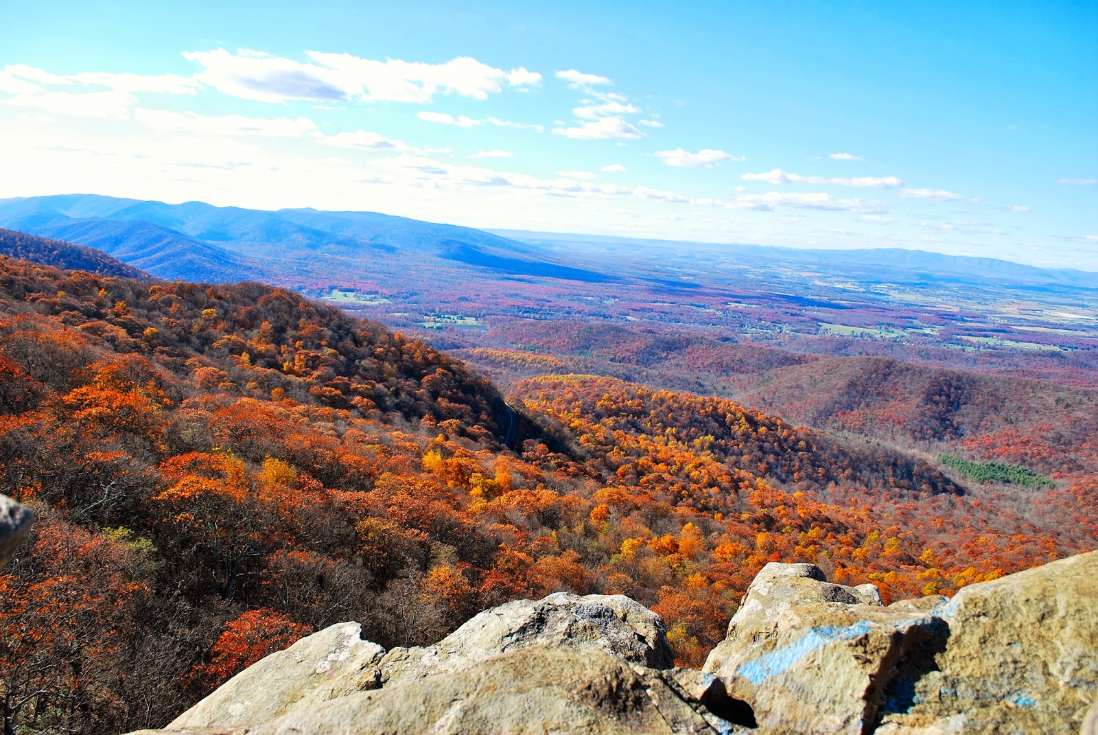 Virginia Hikes Humpback Rocks Bevy Richmond
