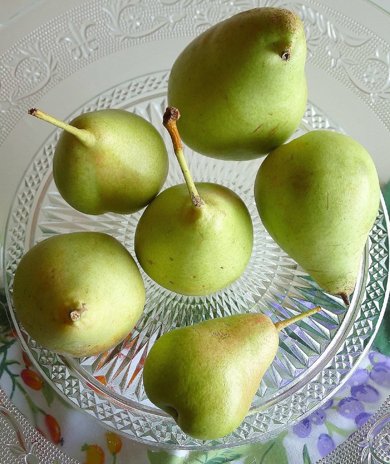 MY KITCHEN IN SPAIN PEARS, SAYS LEO