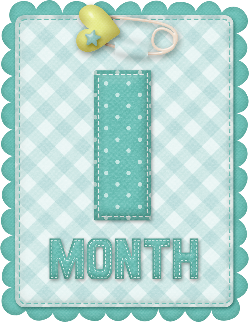 Free Printable Baby Month Counter for Boys. Oh My Baby!