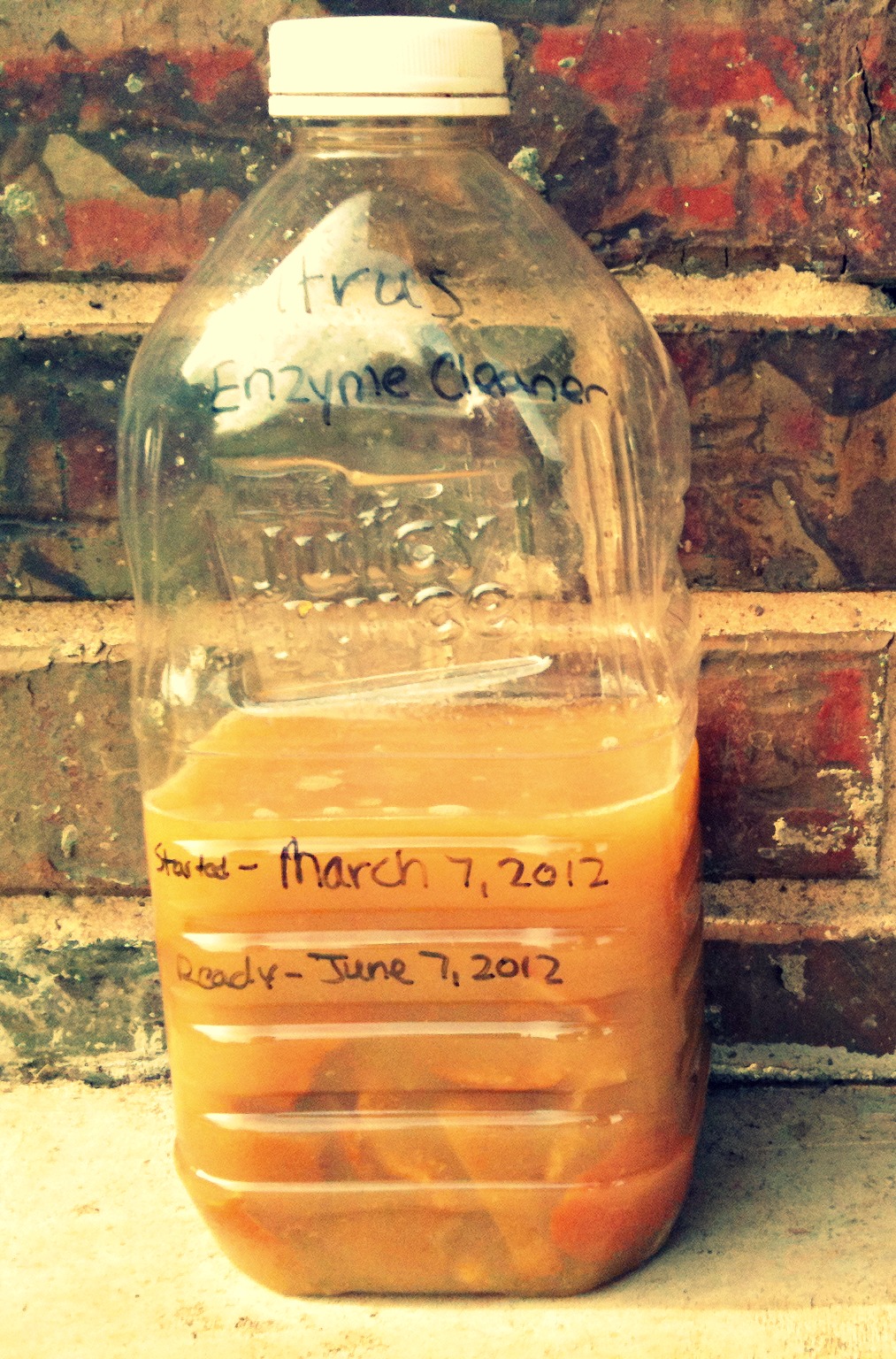 Beautiful Somehow All Purpose Citrus Enzyme Cleaner