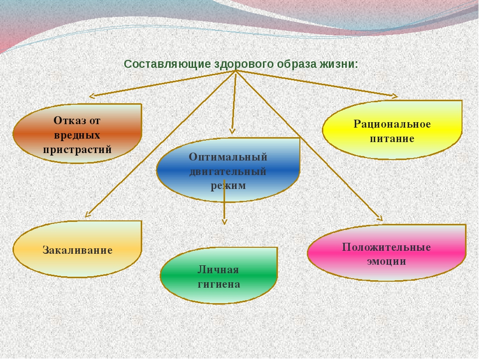 На какие направления делятся. Схема основные составляющие здорового образа жизни. Составляющие ЗОЖ таблица. Основные составляющие здорового образа жизни человека кратко. Основные составляющие здорового образа жизни ОБЖ.