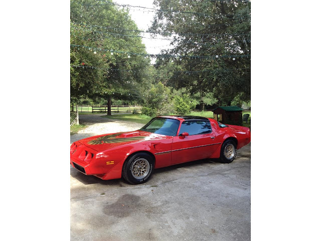 1979 Trans Am This beast came to my work the other day. Gorgeous! www.transam1979.Com