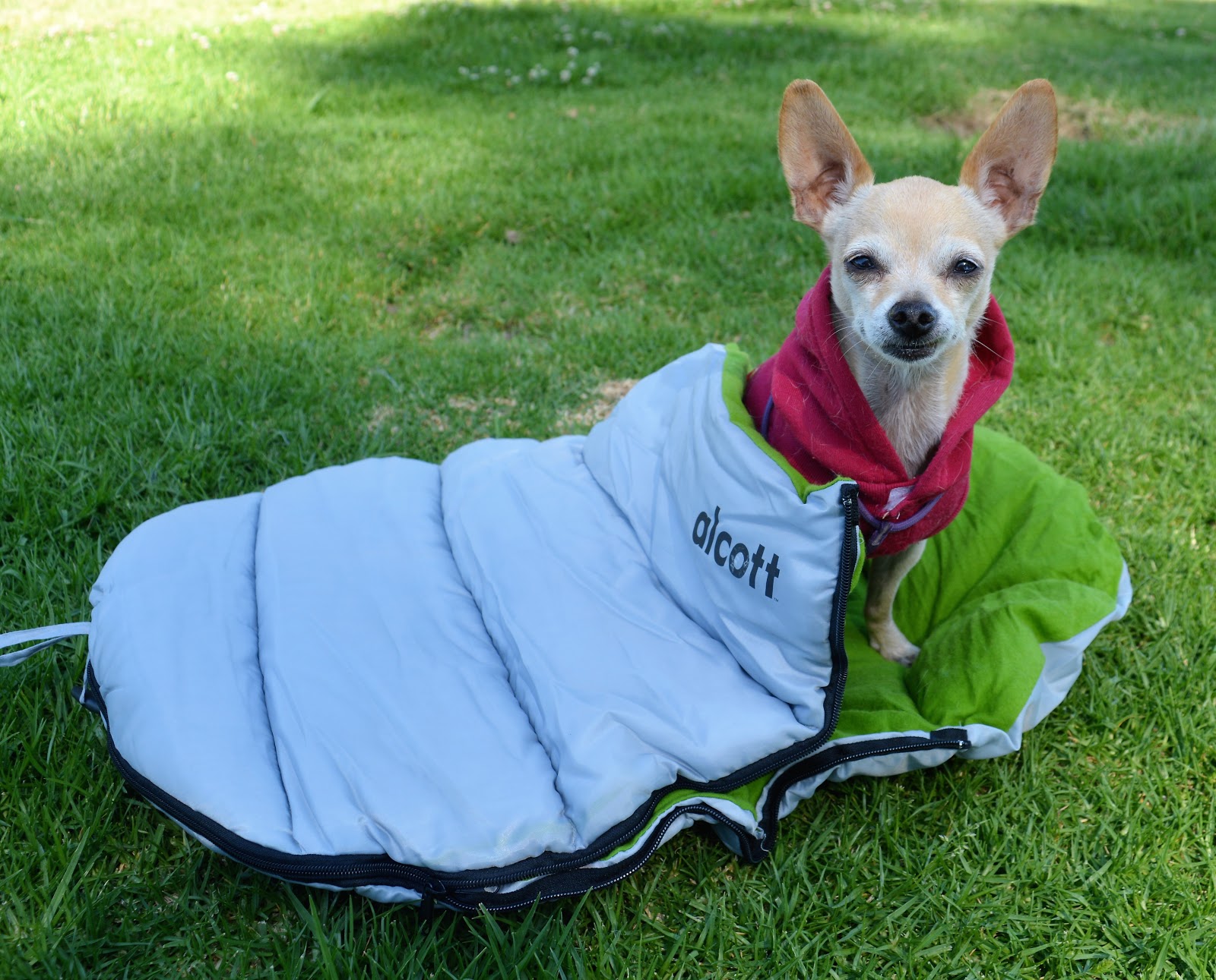 The Dog Geek Product Review Alcott Explorer Sleeping Bag