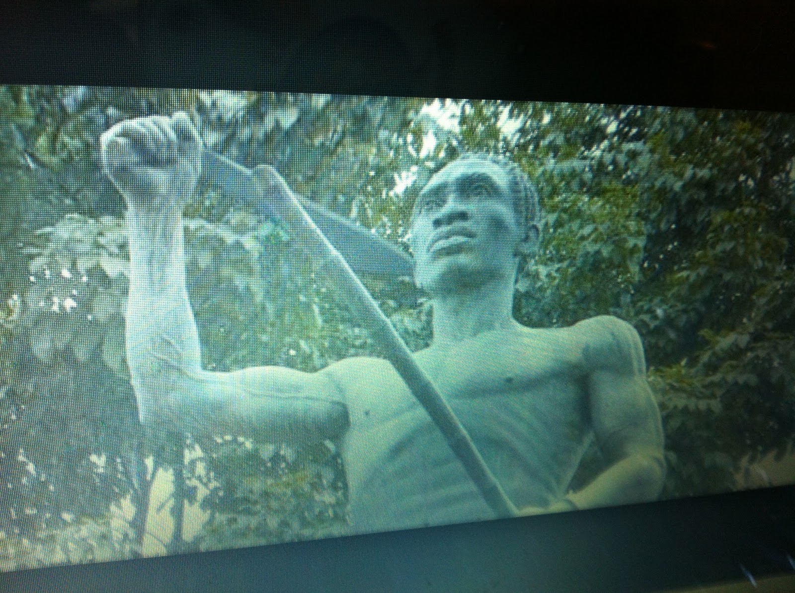 THE BLACK SOCIAL HISTORY BLACK SOCIAL HISTORY AFROMEXICAN " GASPAR