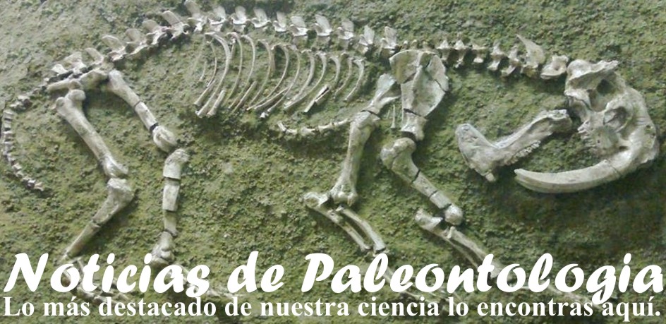 Noticias de Paleontologia