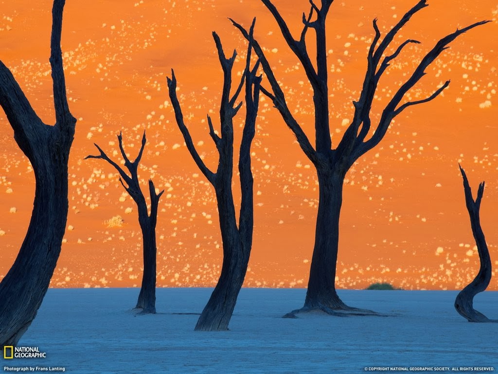 The orange Sossusvlei sand dunes in Namibia.