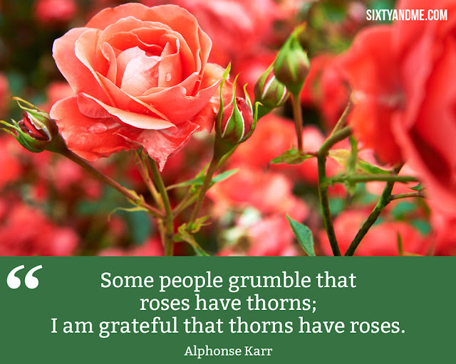 Thorns have roses-How to Fuel Your Life with Gratitude to Enjoy More