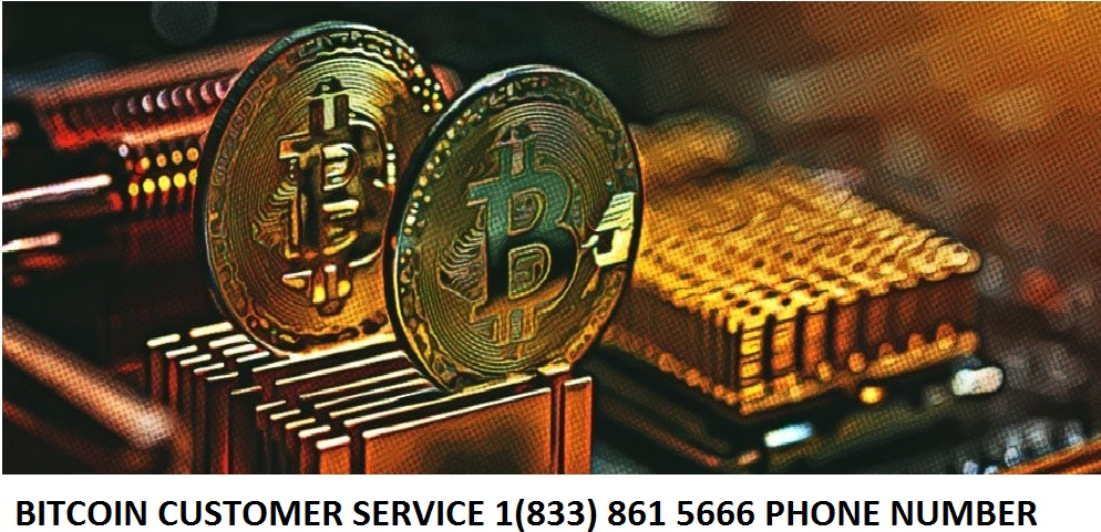 Bitcoin support phone number выгодный курс обмена валют томск