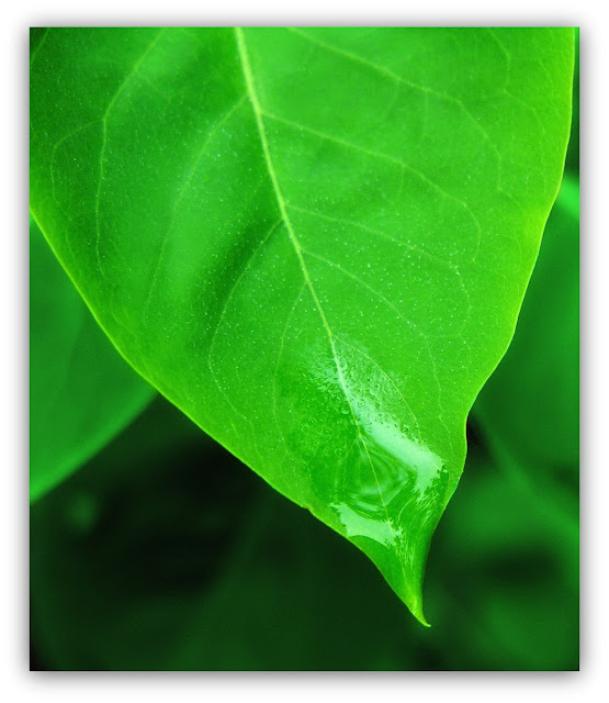 lighting-up-the-sky-the-beauty-of-grief