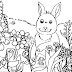 Coloring Pages Spring Time Spring Time Is For Flowers Coloring Pages