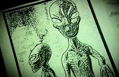 Why Aliens Won't Look Like Flipper | VIDEO 