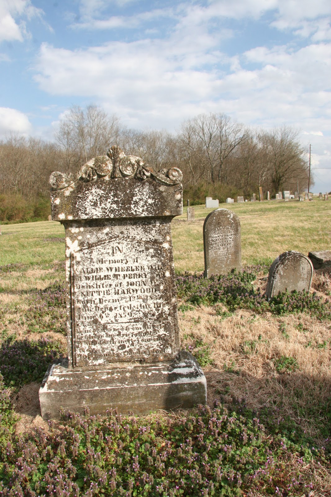 Campbellsville, Tennessee