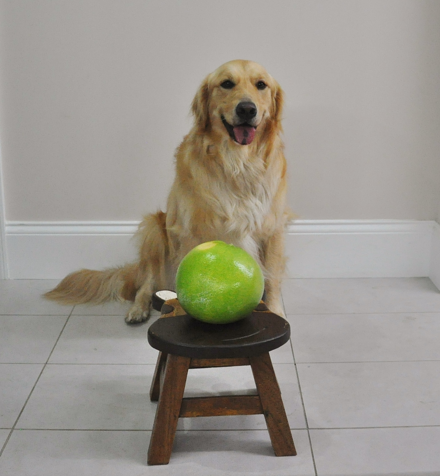 It's Chewy Time! MidAutumn Festival = Pomelo Hat!