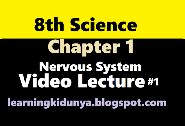 8th Science Chapter 1 nervous system video lecture#1