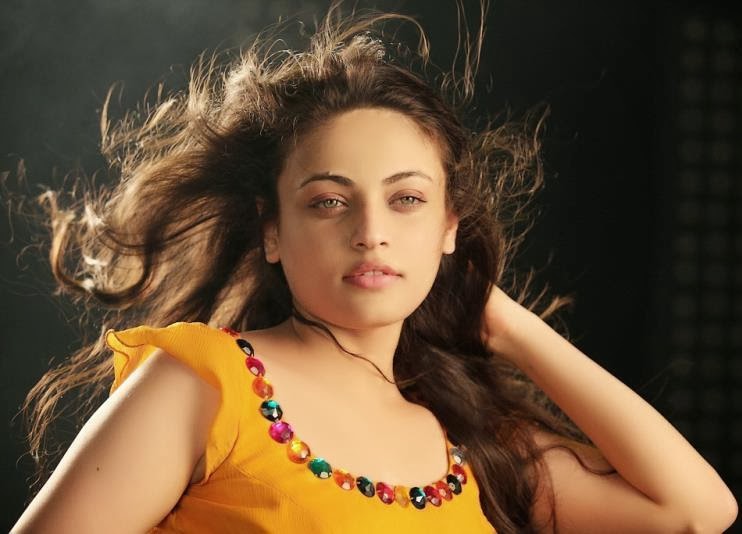 36-Sneha+Ullal+Hot+Sexy+Navel+Show+Photo