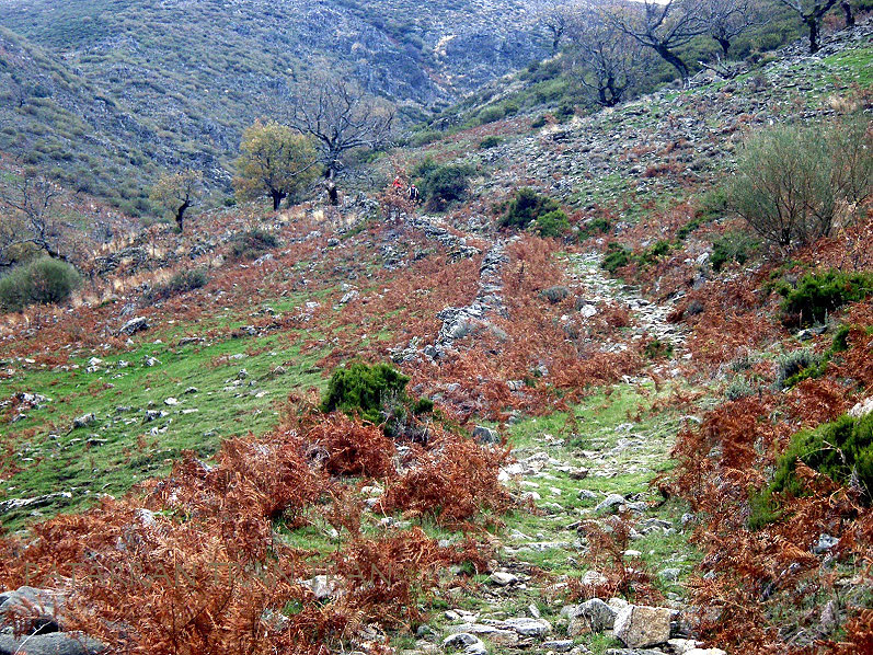 Cota 315r: Trial Excursión con nevada incluida