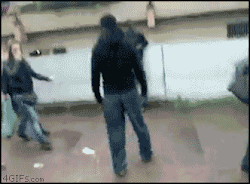 The beauty of Diversity - click on the image