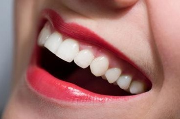 Pengertian Gigi  Dan Jenis Jenisnya