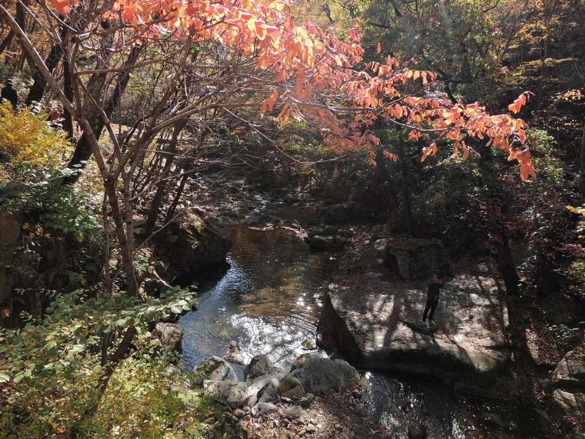 순천 조계산 선암사